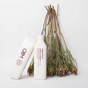 Shampoo & Conditioner