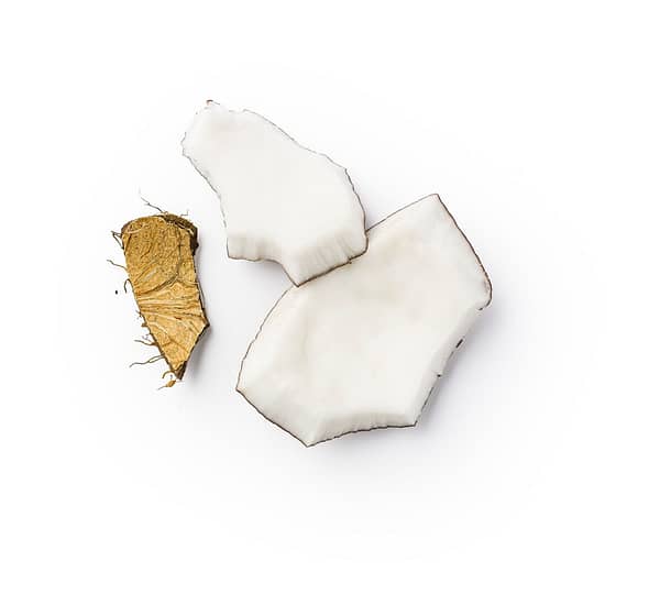 Coconut 2