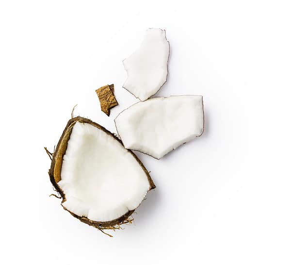 Coconut 1