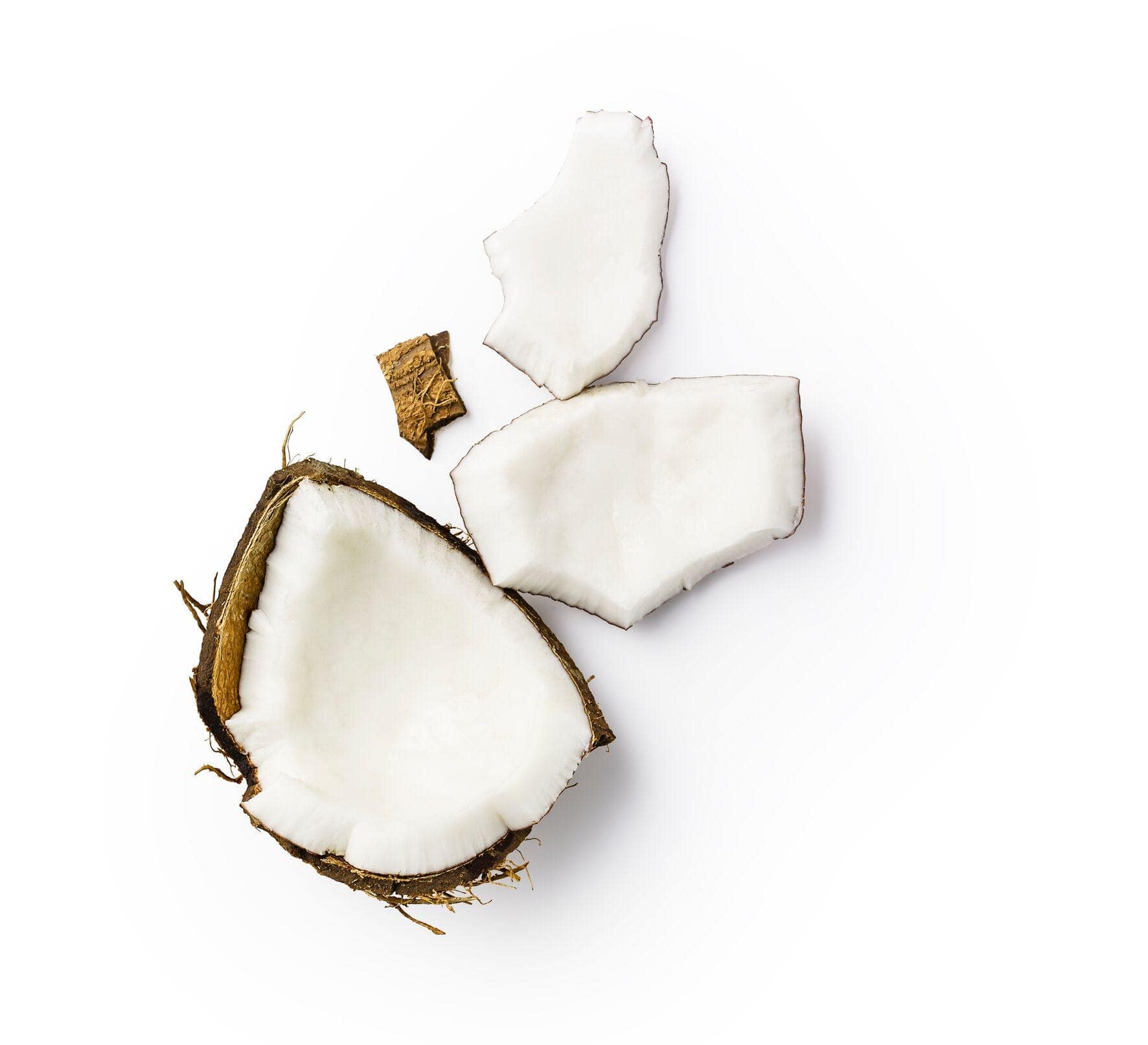 Coconut 1